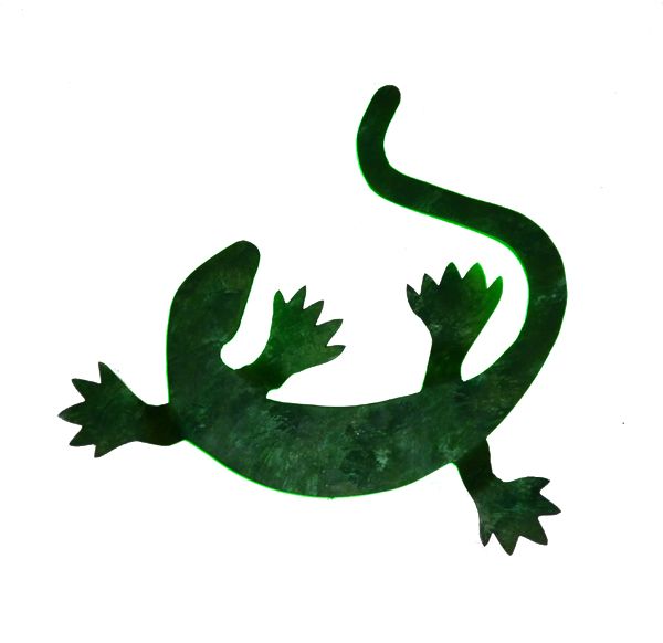 Salamander 